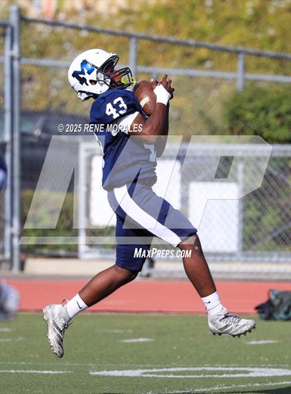 Thumbnail 2 in Franklin vs Marshall photogallery.