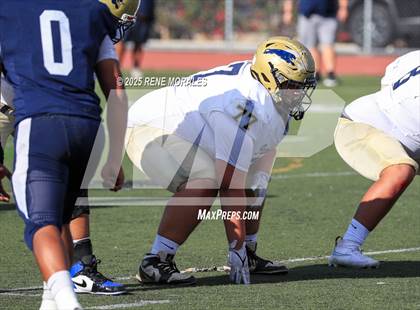Thumbnail 2 in Franklin vs Marshall photogallery.