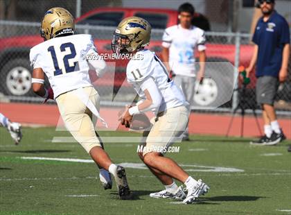 Thumbnail 3 in Franklin vs Marshall photogallery.