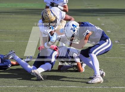 Thumbnail 1 in Franklin vs Marshall photogallery.