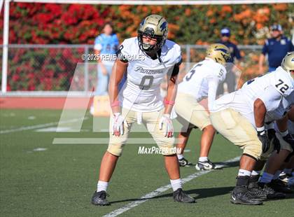 Thumbnail 3 in Franklin vs Marshall photogallery.