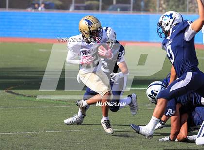 Thumbnail 1 in Franklin vs Marshall photogallery.
