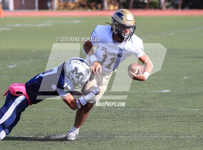 Thumbnail 2 in Franklin vs Marshall photogallery.
