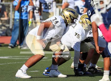 Thumbnail 1 in Franklin vs Marshall photogallery.