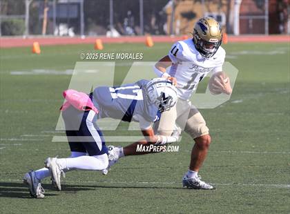 Thumbnail 3 in Franklin vs Marshall photogallery.