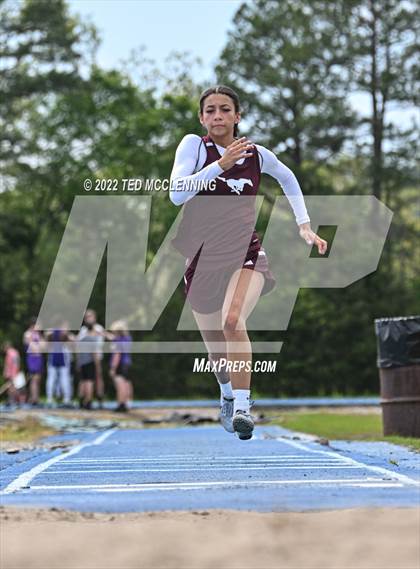 Thumbnail 1 in Jessieville (3A-4 District Tournament) photogallery.