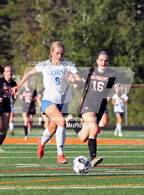 Photo from the gallery "Morse @ Gardiner"