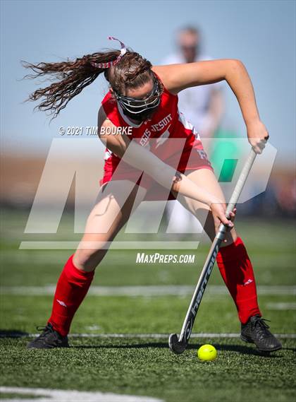 Thumbnail 3 in Regis Jesuit @ Mountain Vista photogallery.