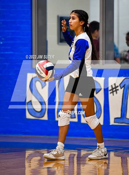 Thumbnail 3 in Snook vs Bartlett photogallery.
