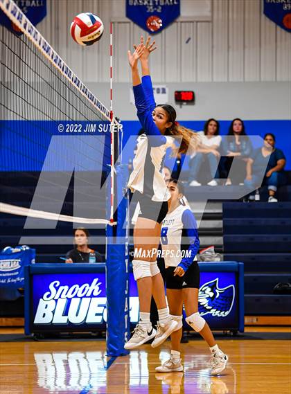 Thumbnail 3 in Snook vs Bartlett photogallery.