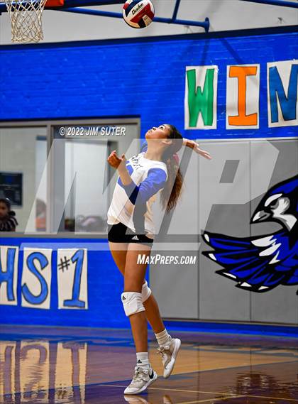 Thumbnail 3 in Snook vs Bartlett photogallery.