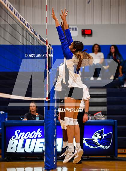 Thumbnail 3 in Snook vs Bartlett photogallery.