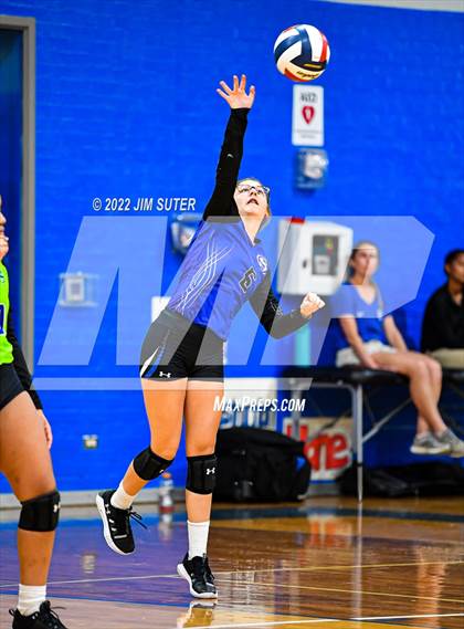 Thumbnail 3 in Snook vs Bartlett photogallery.