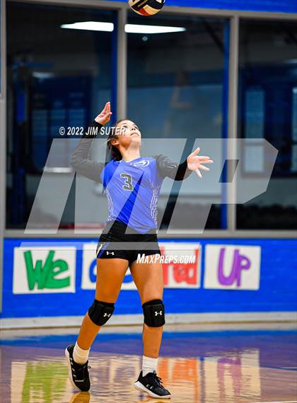 Thumbnail 3 in Snook vs Bartlett photogallery.