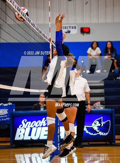 Thumbnail 1 in Snook vs Bartlett photogallery.