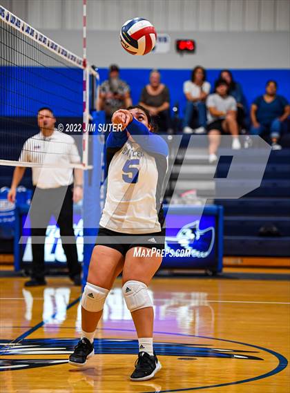 Thumbnail 3 in Snook vs Bartlett photogallery.