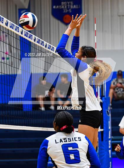 Thumbnail 3 in Snook vs Bartlett photogallery.