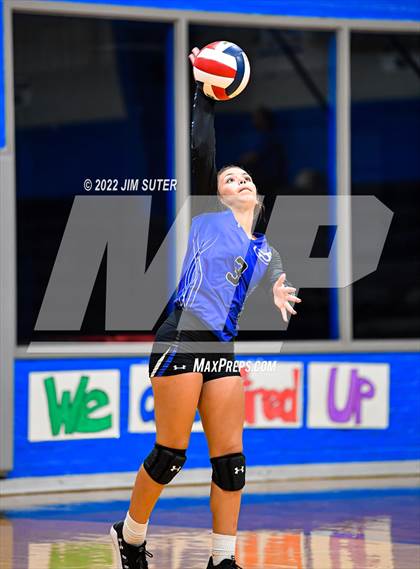 Thumbnail 1 in Snook vs Bartlett photogallery.
