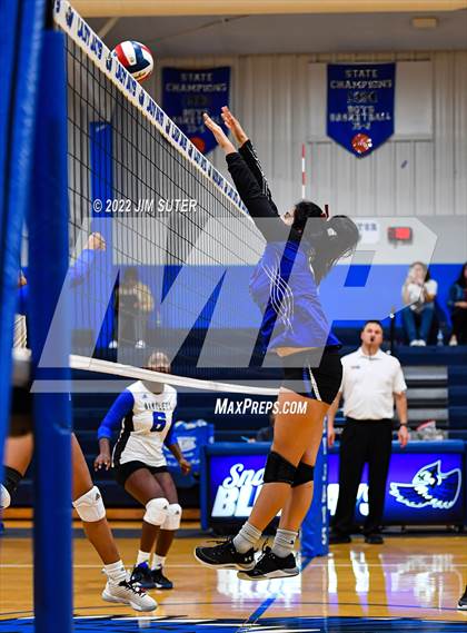 Thumbnail 3 in Snook vs Bartlett photogallery.