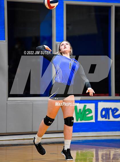 Thumbnail 3 in Snook vs Bartlett photogallery.