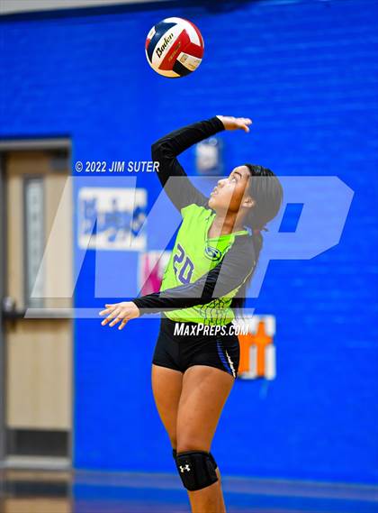 Thumbnail 1 in Snook vs Bartlett photogallery.