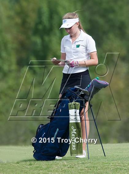 Thumbnail 3 in Weddington photogallery.