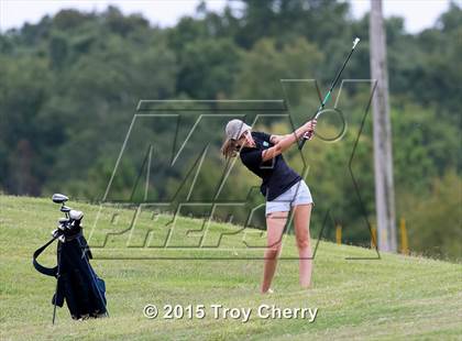 Thumbnail 3 in Weddington photogallery.
