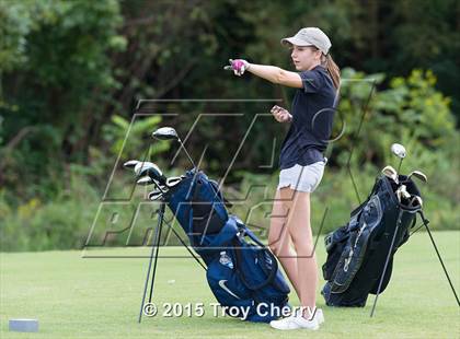 Thumbnail 2 in Weddington photogallery.