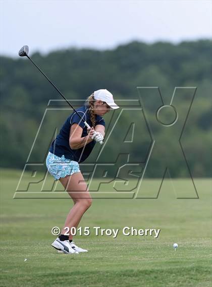 Thumbnail 2 in Weddington photogallery.
