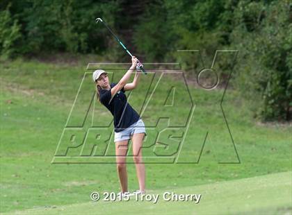 Thumbnail 3 in Weddington photogallery.