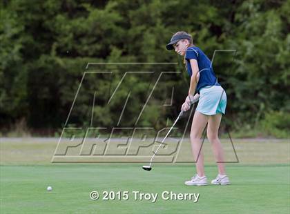 Thumbnail 2 in Weddington photogallery.