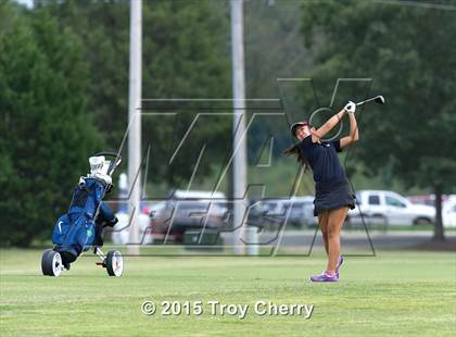 Thumbnail 3 in Weddington photogallery.
