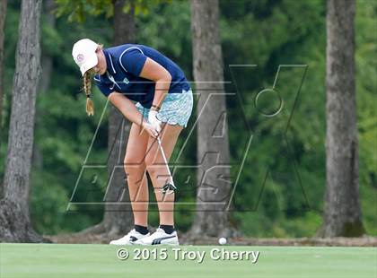 Thumbnail 3 in Weddington photogallery.