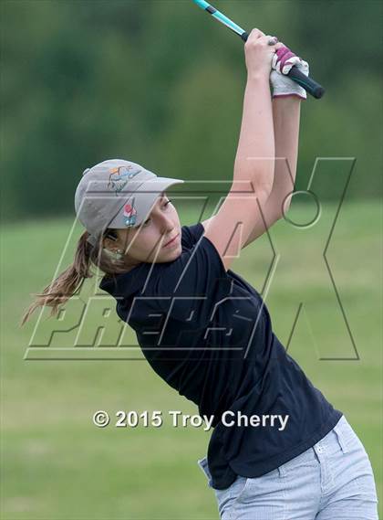Thumbnail 2 in Weddington photogallery.