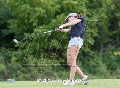 Thumbnail 1 in Weddington photogallery.