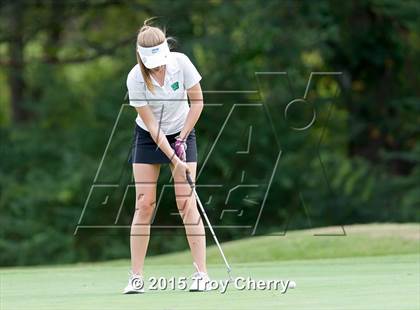 Thumbnail 3 in Weddington photogallery.