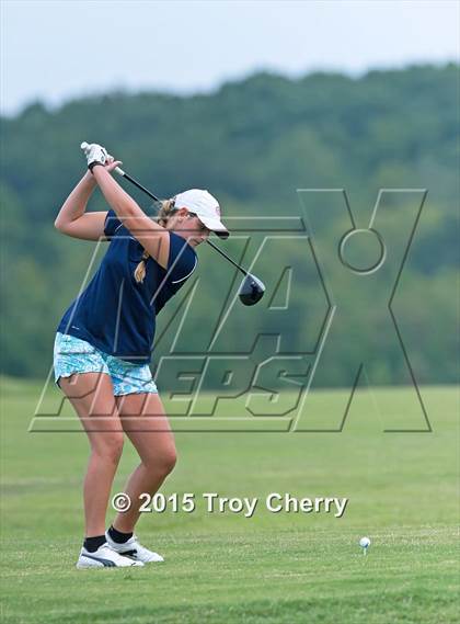 Thumbnail 1 in Weddington photogallery.