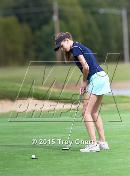 Thumbnail 1 in Weddington photogallery.
