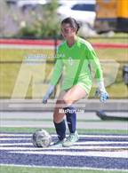 Photo from the gallery "Brighton @ Skyline"