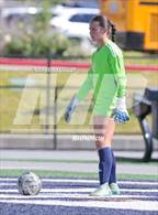 Photo from the gallery "Brighton @ Skyline"