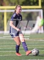 Photo from the gallery "Brighton @ Skyline"