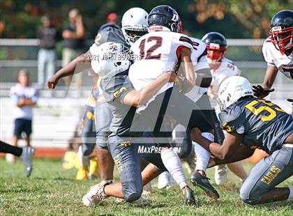 Thumbnail 3 in Dulaney @ Owings Mills photogallery.