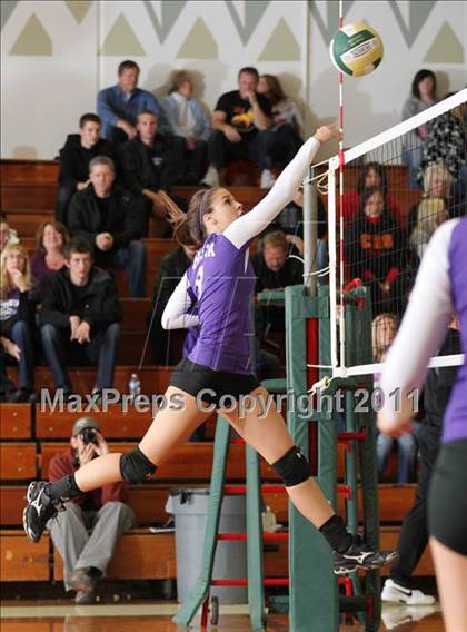 Thumbnail 2 in Chico vs. Shasta (CIF NS D2 Final) photogallery.