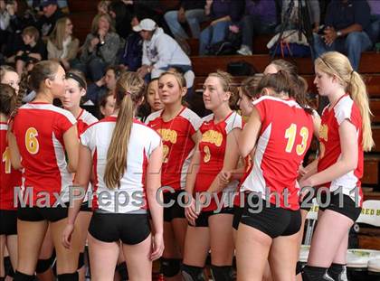Thumbnail 1 in Chico vs. Shasta (CIF NS D2 Final) photogallery.
