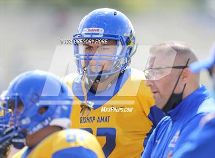 Thumbnail 1 in FR: Bishop Amat @ Notre Dame (SO) photogallery.