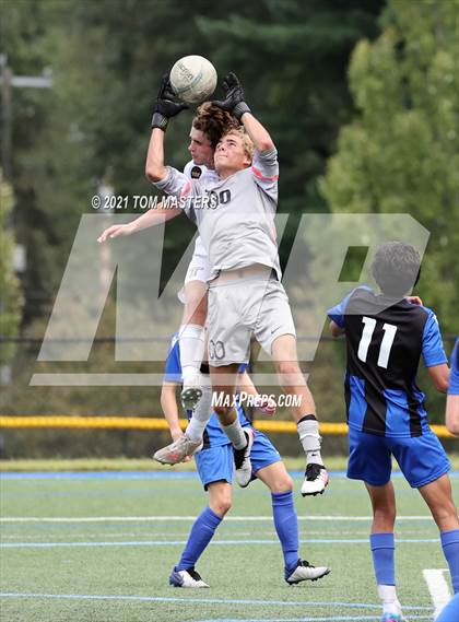 Thumbnail 1 in Trumbull @ Darien photogallery.