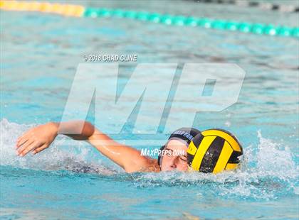 Thumbnail 2 in Esperanza @ Villa Park photogallery.