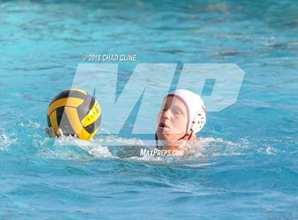 Thumbnail 2 in Esperanza @ Villa Park photogallery.