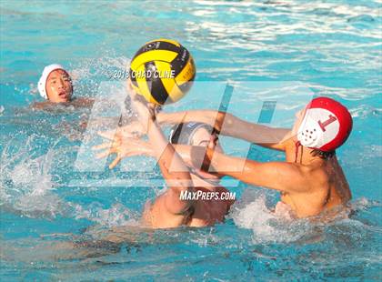 Thumbnail 3 in Esperanza @ Villa Park photogallery.