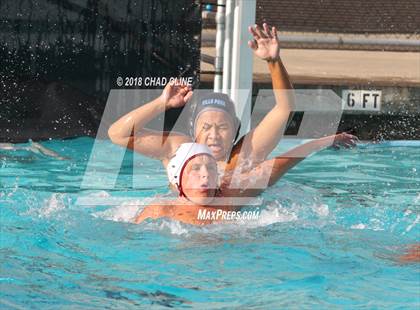 Thumbnail 3 in Esperanza @ Villa Park photogallery.